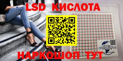 СК Абакан