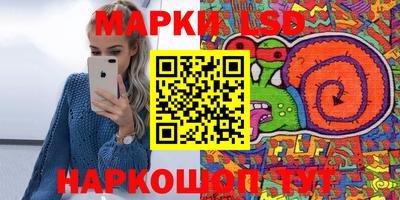 СК Абакан