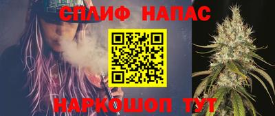 СК Абакан