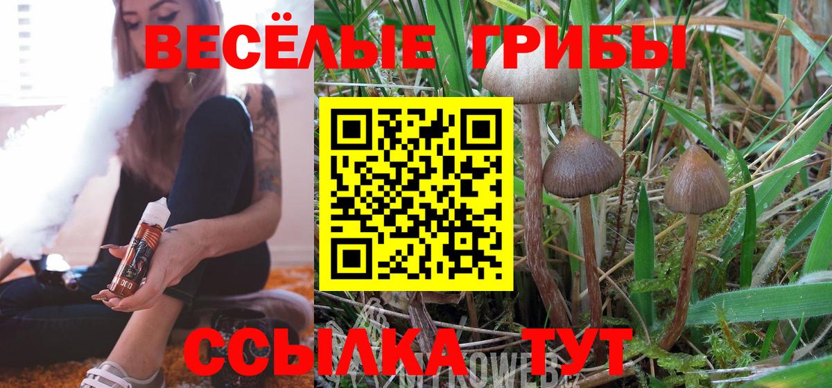 Галлюциногенные грибы ЛСД  Вход с VPN  Алейск 